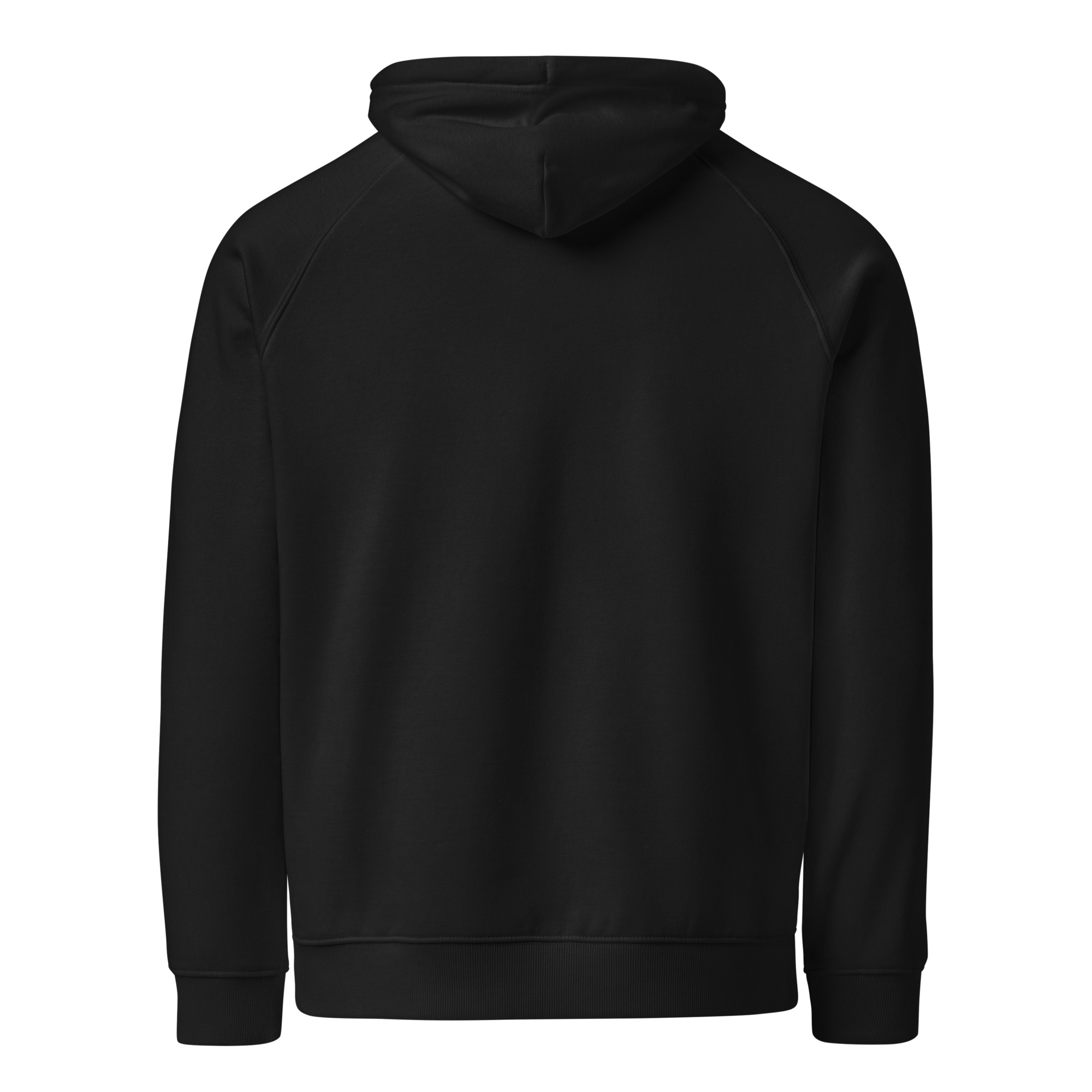 unisex-eco-raglan-hoodie-black-back-6ab404ada00f5.jpg