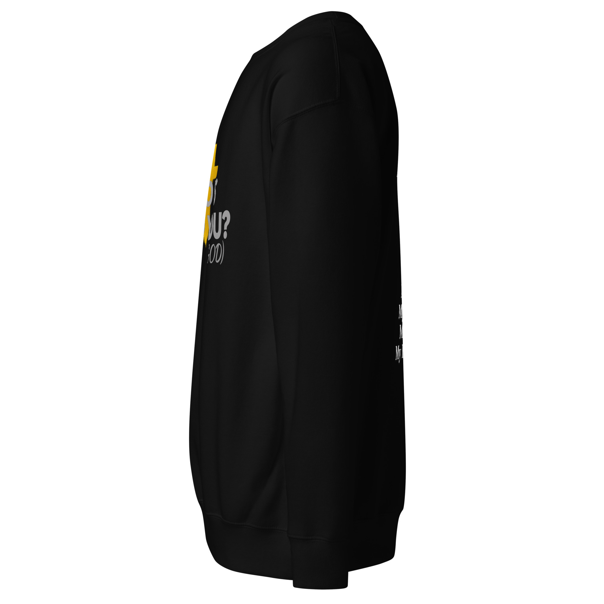 unisex-premium-sweatshirt-black-left-6aa3b10b06428.jpg